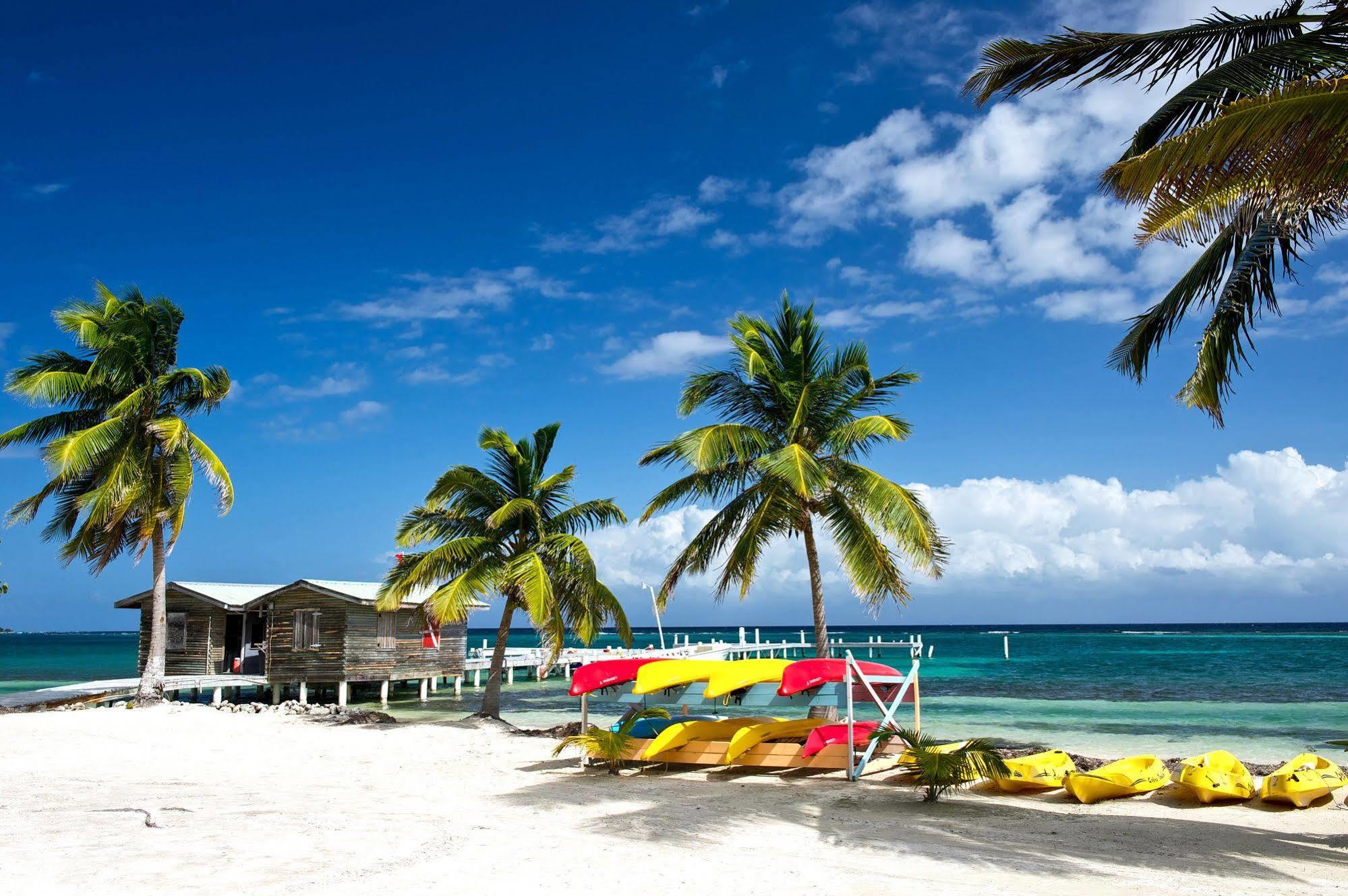 Blackbird Caye Resort Turneffe Atoll Dış mekan fotoğraf