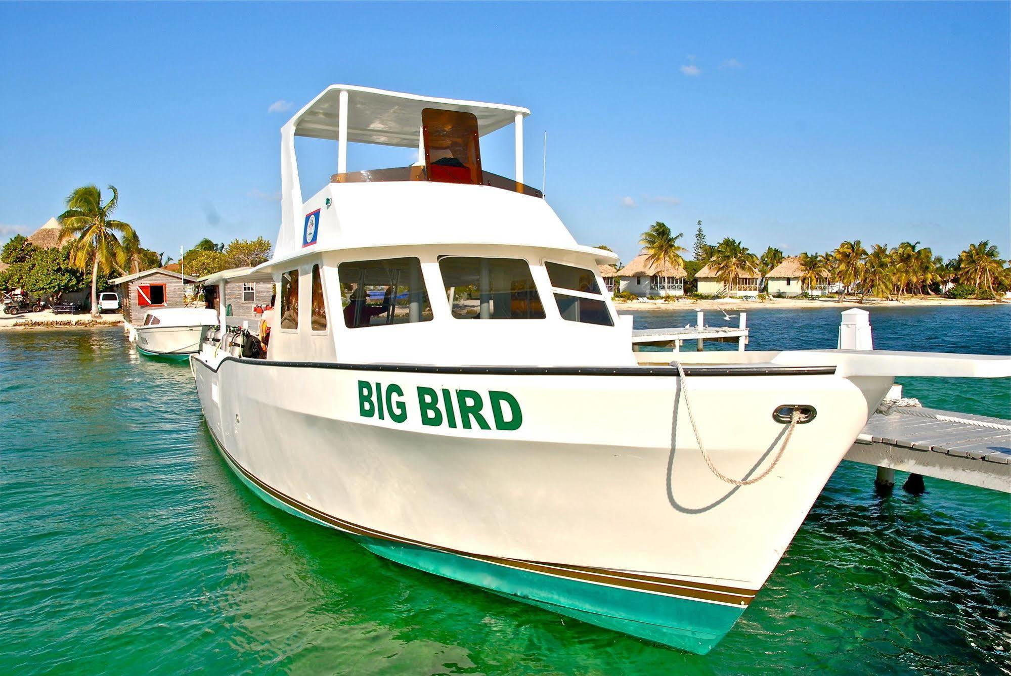 Blackbird Caye Resort Turneffe Atoll Dış mekan fotoğraf