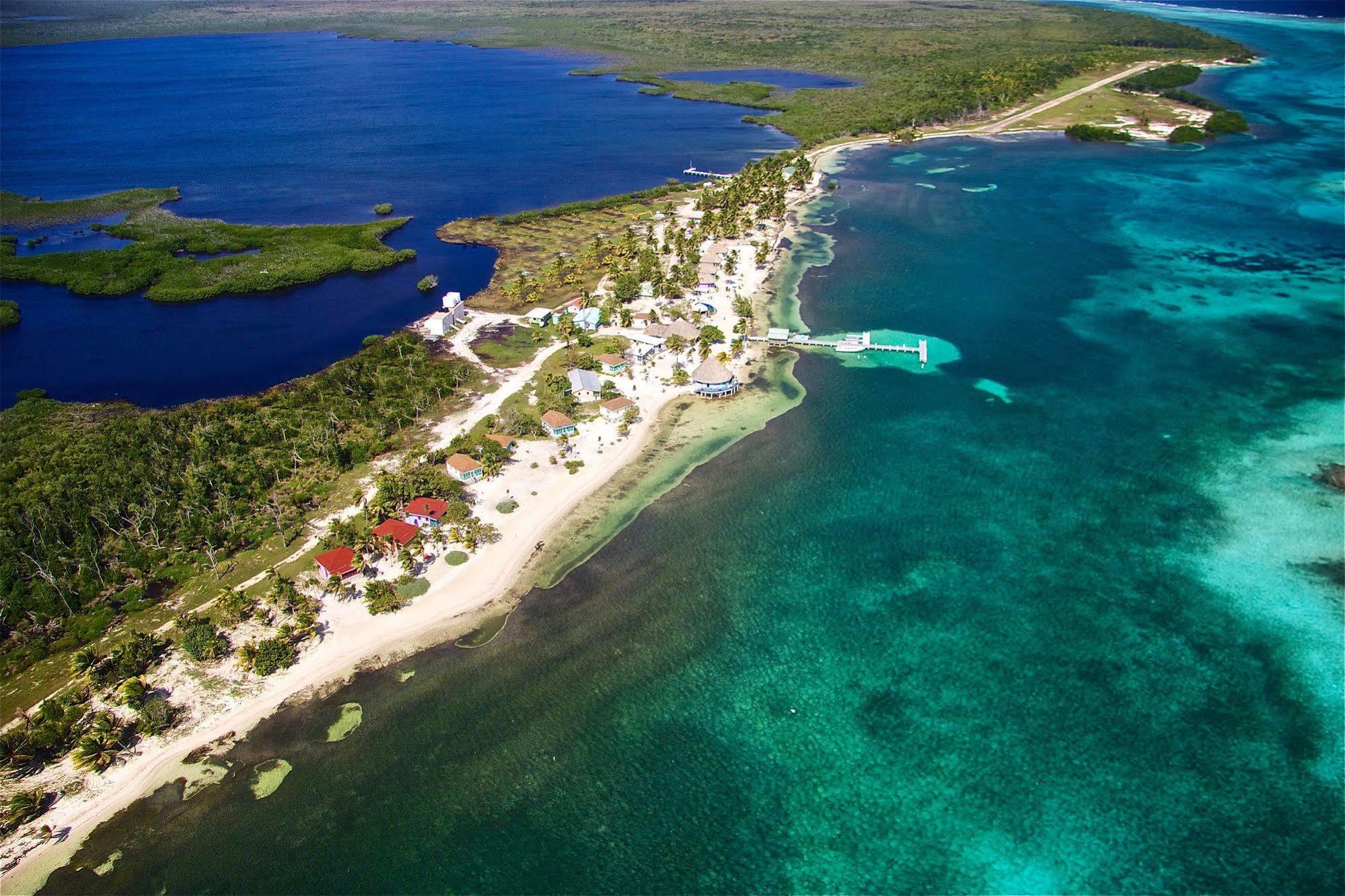 Blackbird Caye Resort Turneffe Atoll Dış mekan fotoğraf