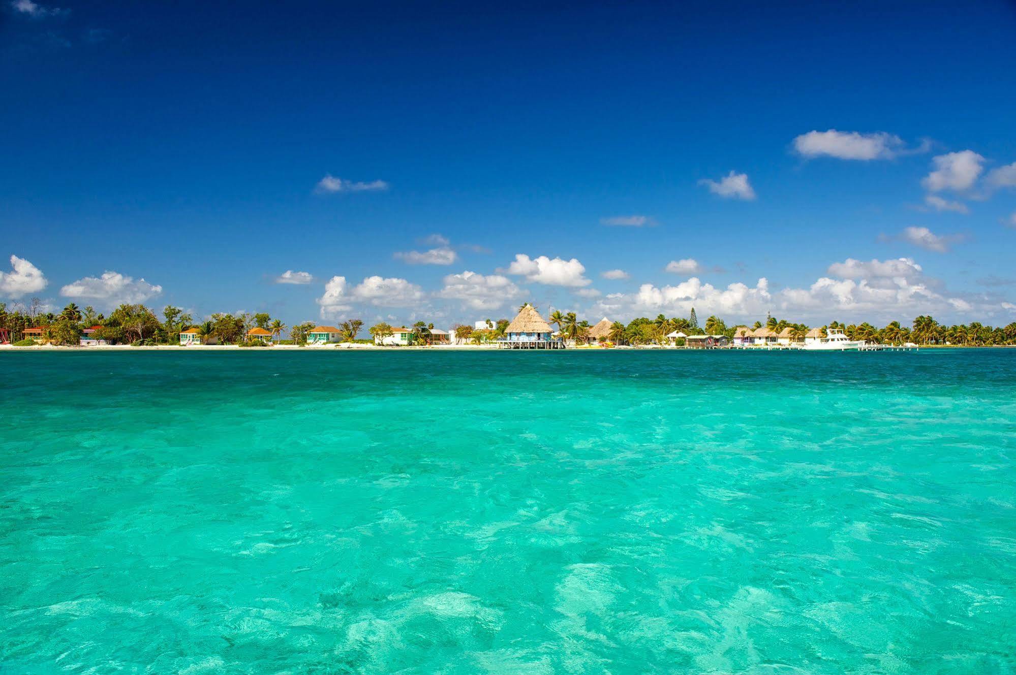Blackbird Caye Resort Turneffe Atoll Dış mekan fotoğraf