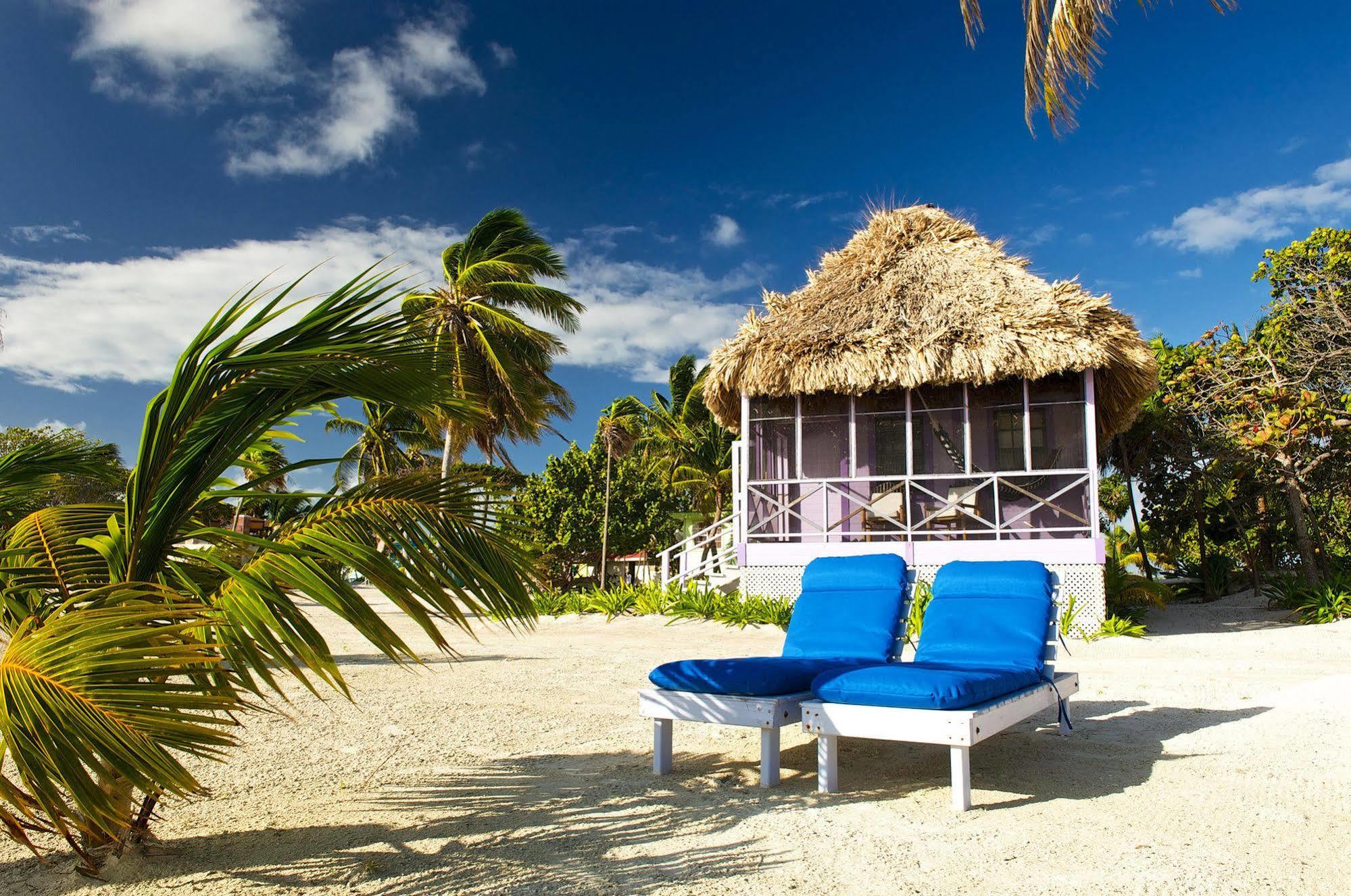 Blackbird Caye Resort Turneffe Atoll Dış mekan fotoğraf