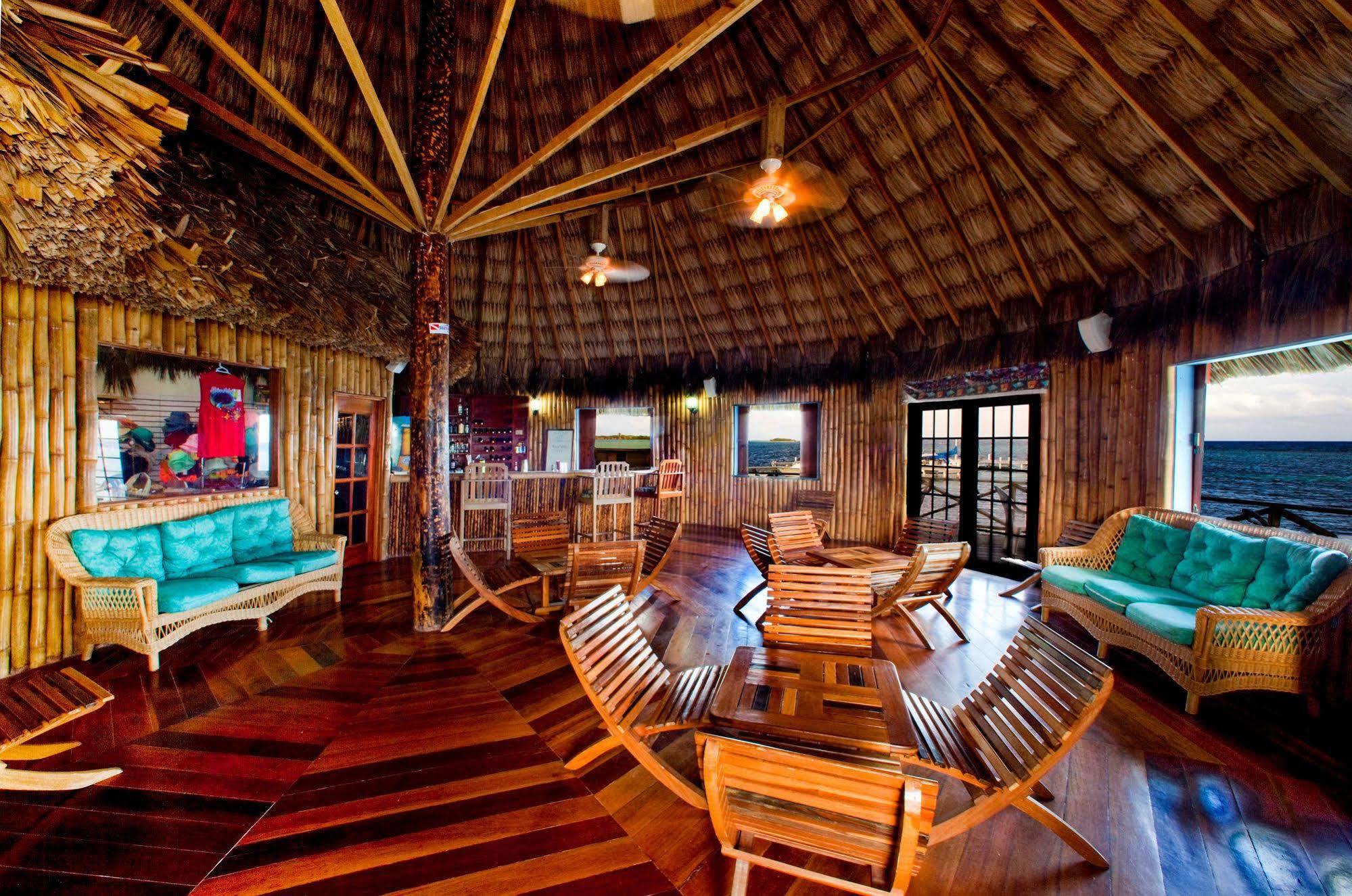 Blackbird Caye Resort Turneffe Atoll Dış mekan fotoğraf